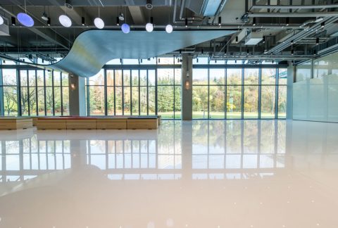 pohang university of science and technology